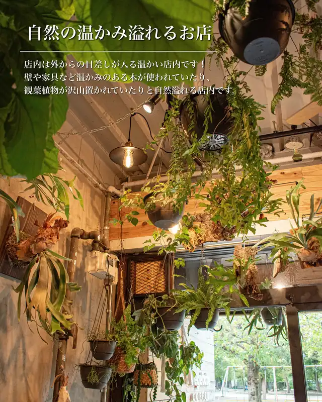 【大阪・放出】自然溢れる穴場カフェを正直レビュー！