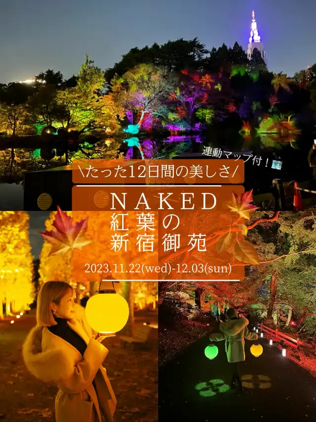 【新宿】あのイベントが期間限定で12日間の復活今1番映えるなら、NAKED 紅葉の新宿御苑