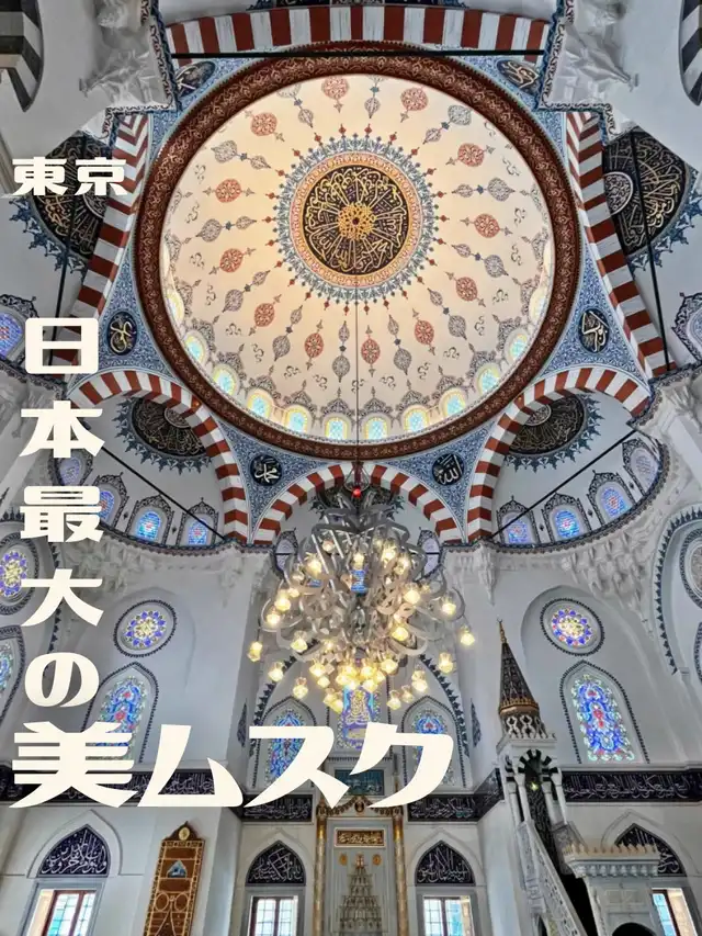 【東京】日本最大の美ムスク
