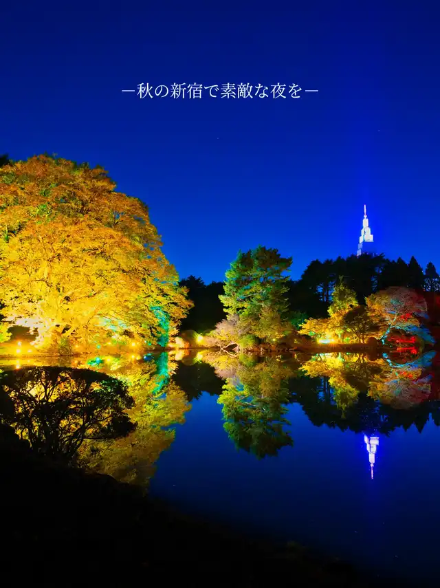 【東京】あのNAKEDが新宿御苑に再登場秋の新宿を光で美しく演出学校・仕事帰りに