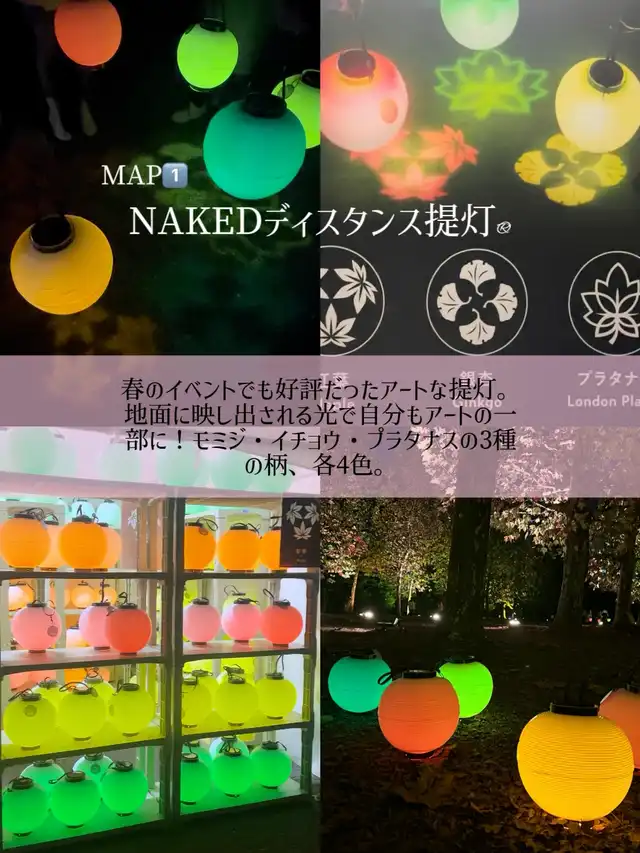 【新宿】あのイベントが期間限定で12日間の復活今1番映えるなら、NAKED 紅葉の新宿御苑